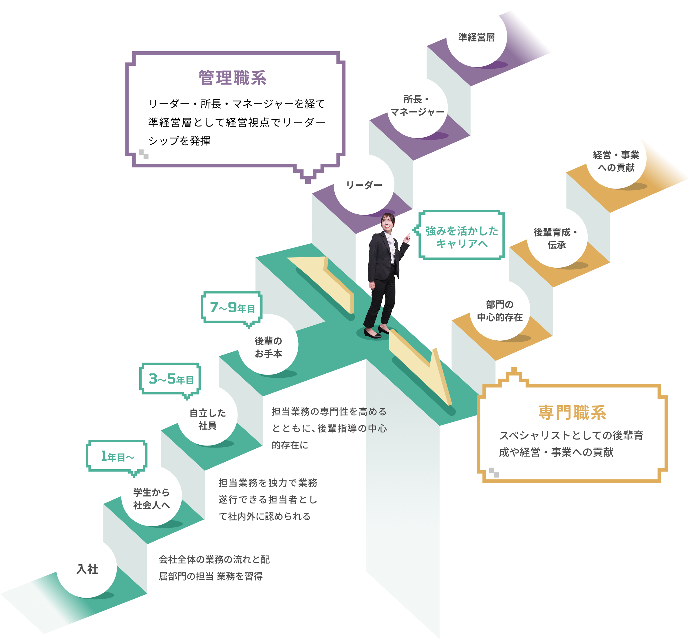 新入社員、入社2〜5年目、入社5〜10年目、入社10〜15年目 入社後のキャリアパスを等級に分けて紹介